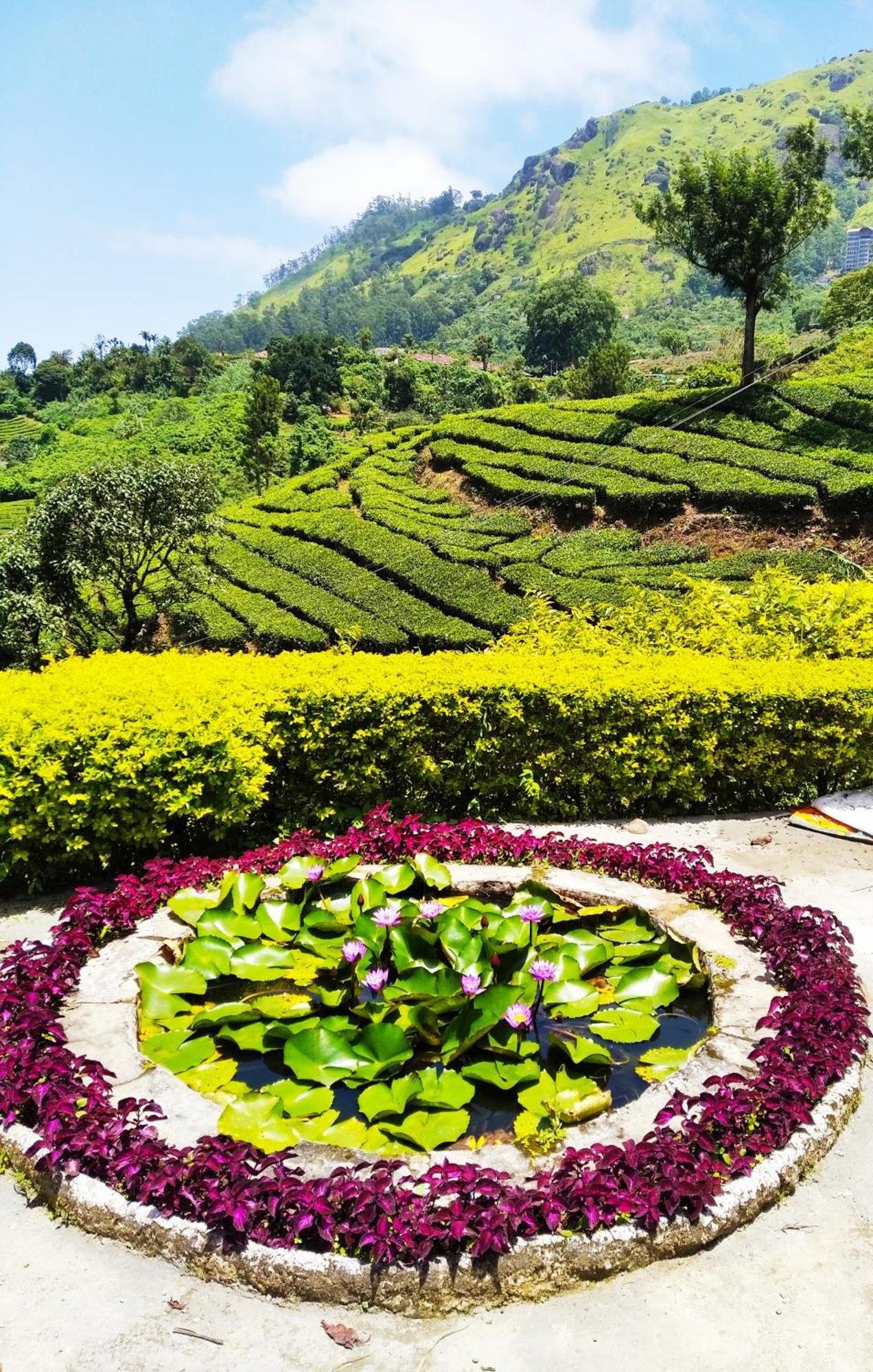 Blackcherry Munnar Exteriér fotografie